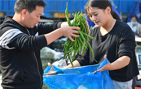 合肥蔬菜價(jià)格止漲回落