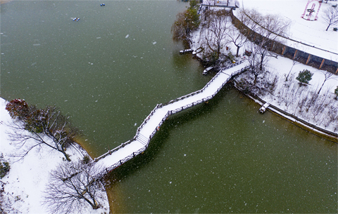 【“飛閱”中國】初春如畫(huà) 雪落成詩(shī)