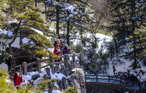 銀裝素裹！黃山春雪分外嬌